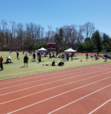 BI Broadcast Newsletter