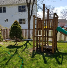 BI Broadcast Newsletter